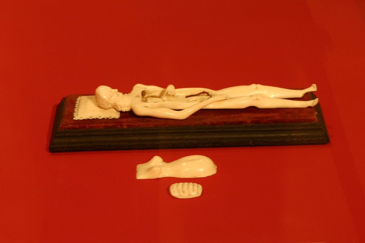 Anatomical model of a pregnant woamn, Medicine Man, The Wellcome Building, London - 02.JPG